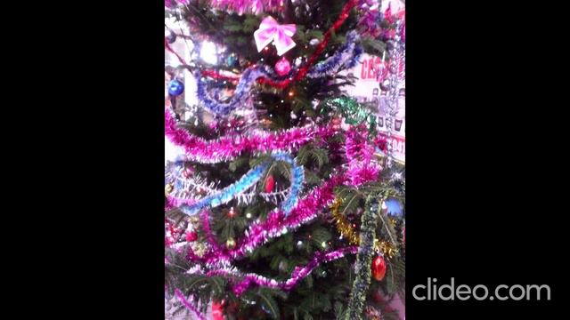 Фото📷📸Photo