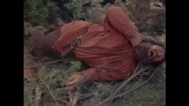 Золотая баба (1986)