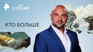 Кто больше — Как устроен мир с Тимофеем Баженовым (04.10.2023)
