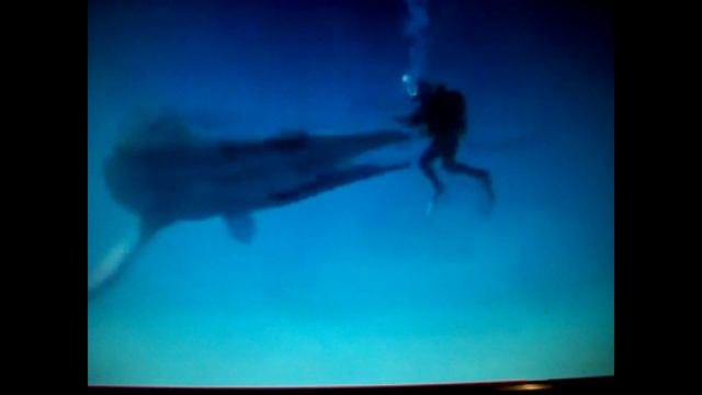 Найджел Марвин под водой