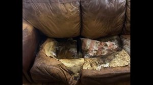 The bizarre and tragic end of Lacey Fletcher | An open true crime case