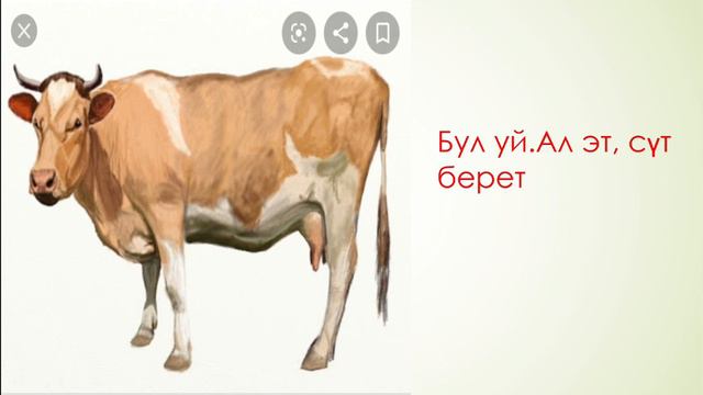 Кыргыз тили 1- класм смотреть онлайн