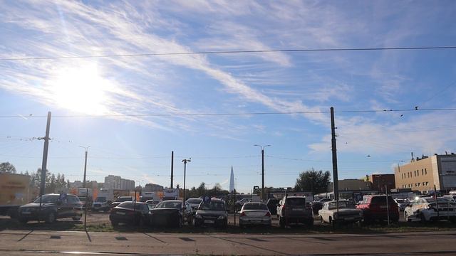 Птицы собираются на юг. Пятница, 20 сентября 2024 г