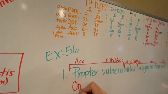 Week 7: Exercise 56 Intro. 3rd Decl. Flumen (N) with translations смотреть онлайн