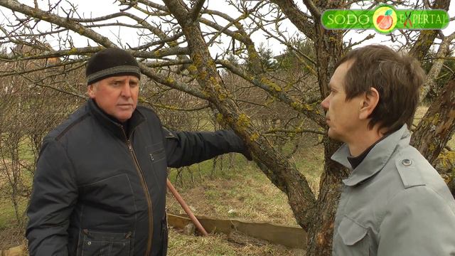 Kerpės ir samanos ant medžių смотреть онлайн
