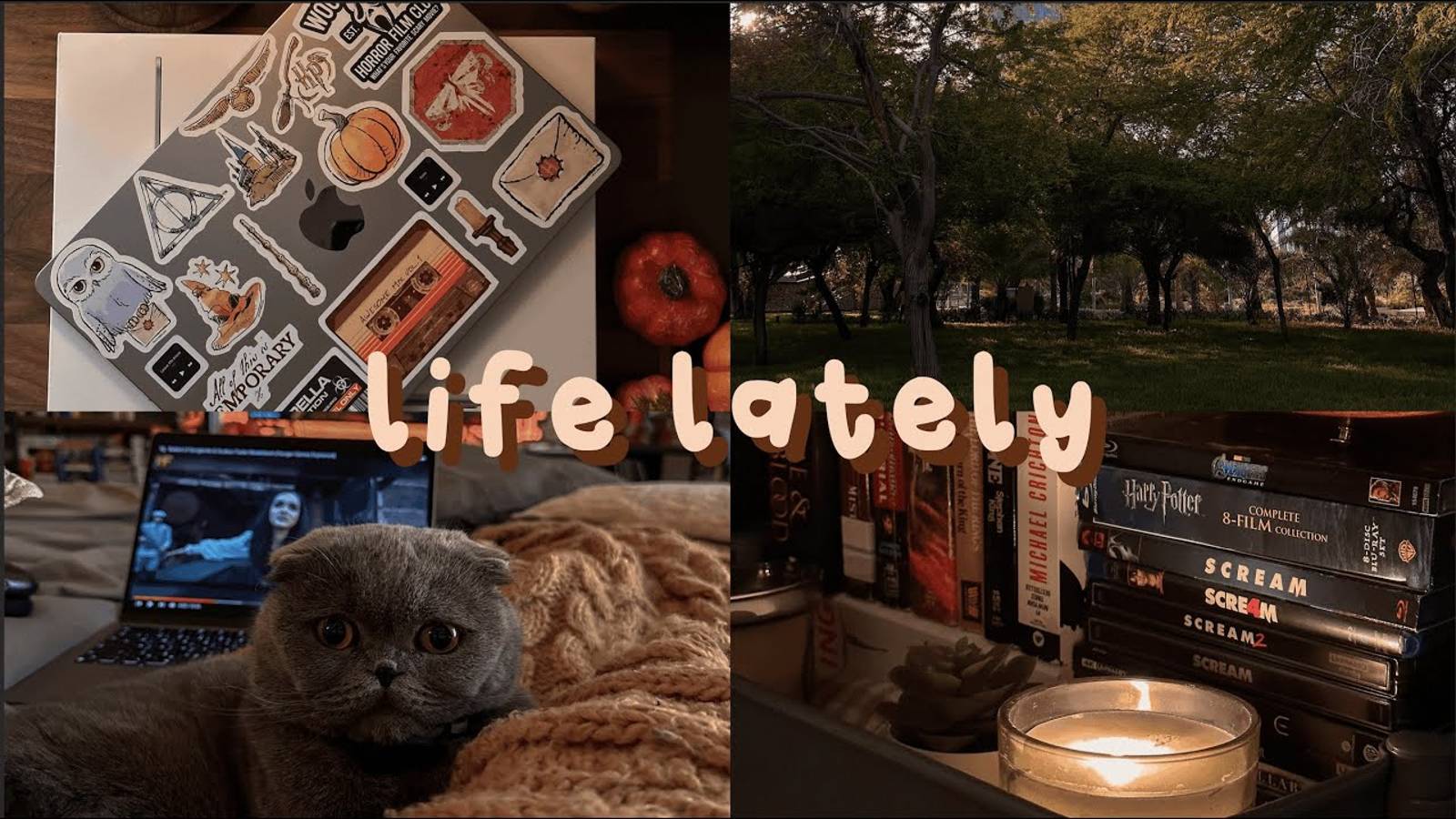 Ch.2 Life Lately | Macbook Air Unboxing, Mini Book Haul, Guardians Of The Galaxy Vol.3 🪐 🧦 🕯