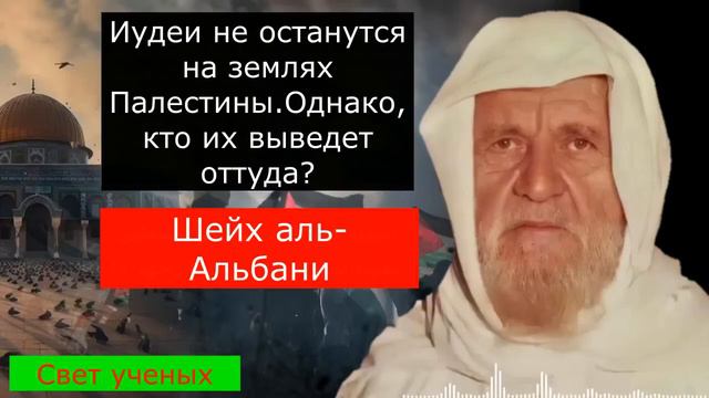 Иудеи не останутся на землях Палестины, кто их изгонит? Шейх аль Альбани #ислам #палестина #израиль смотреть онлайн