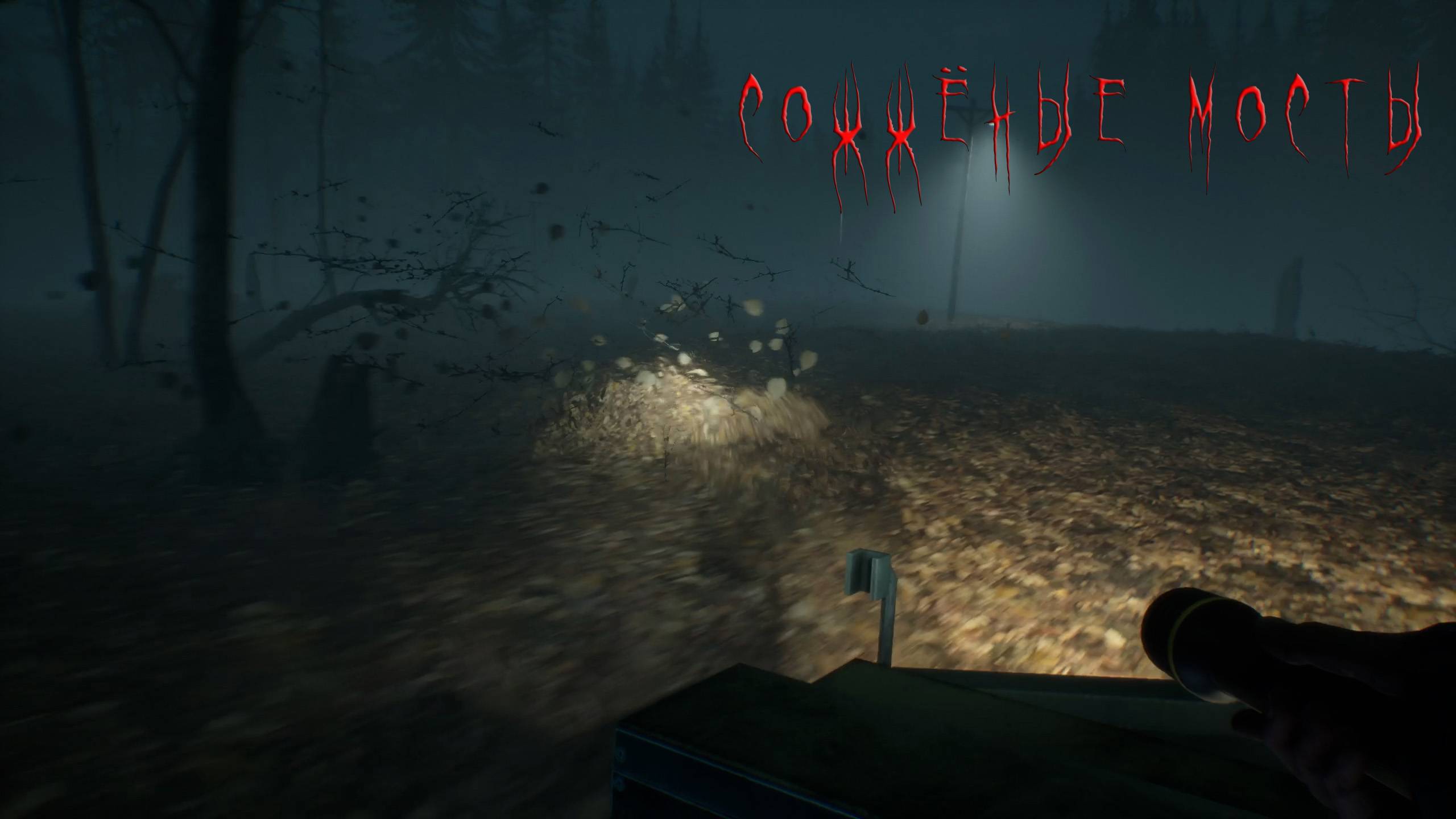 Blair Witch | СОЖЁНЫЕ МОСТЫ