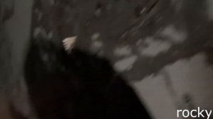 Драка Урагана Хокаге и Карлоса с прохожим (2022 год) [Ураган Хокаге]