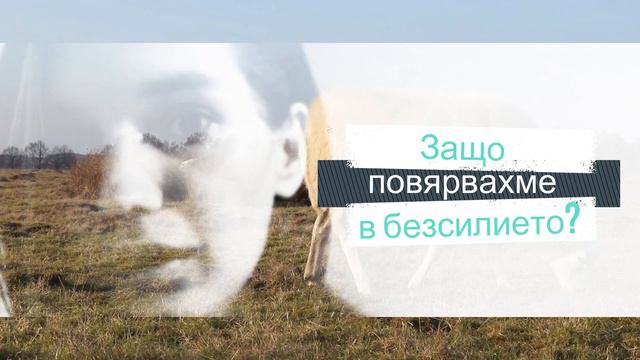 Синдромът на БАЛКАНСКАТА ОВЦА смотреть онлайн