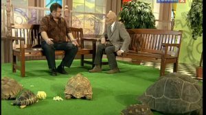 В мире животных с Николаем Дроздовым 2011 г Выпуск - 32