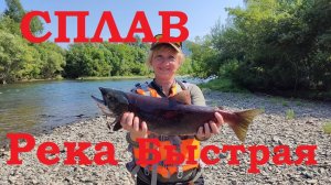 Камчатка 4 часть Сплав по реке Быстрая 1 день