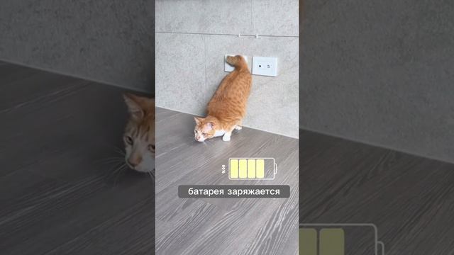 Подзарядочка смотреть онлайн