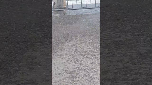 Tempete au lac Leman Vevey смотреть онлайн