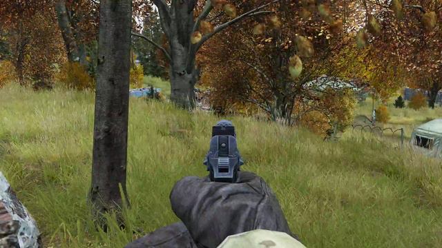 DayZ Standalone 0.62. И вновь волки. Лутаем военную базу (4K) смотреть онлайн