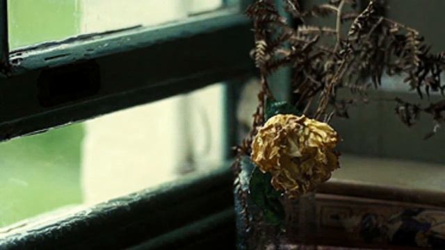 Bernward Koch - Shades of Rain смотреть онлайн