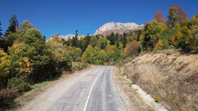 Яворова поляна 2023 4K HEVC 4K смотреть онлайн