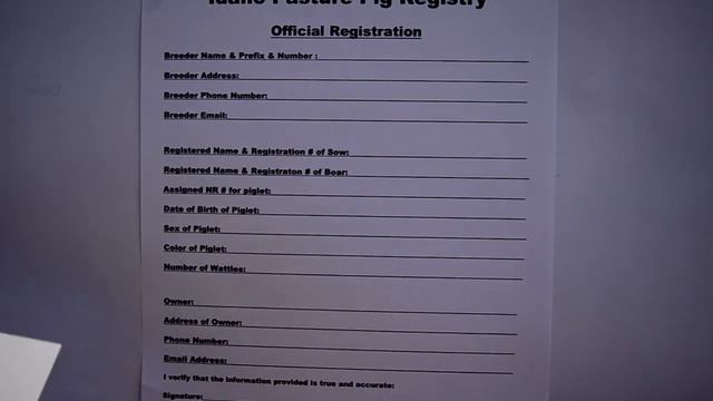 IPPR Filling Out an Official Registration 01 смотреть онлайн
