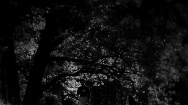 Юность поэта (1937)