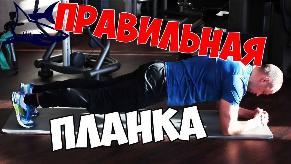 ПРЕСС. Как делать планку. КАК НАКАЧАТЬ СПИНУ в домашних условиях смотреть онлайн