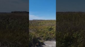 небольшое путешествие выходного дня на мопеде Кольт