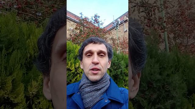На что королю наплевать? смотреть онлайн