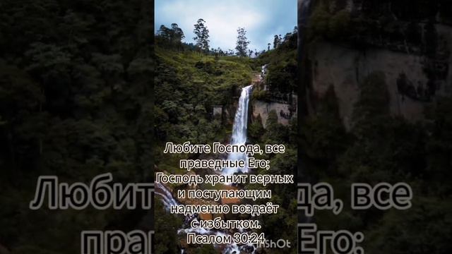 Доброе утро 🌄 смотреть онлайн
