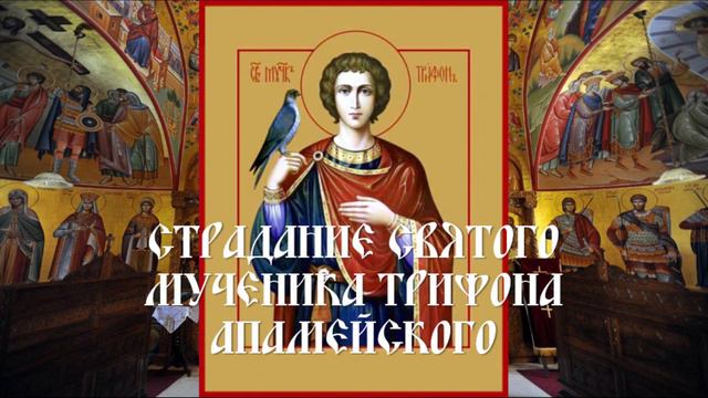 Страдание святого мученика Трифона Апамейского смотреть онлайн