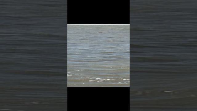 Азовское  И Чëрное Море