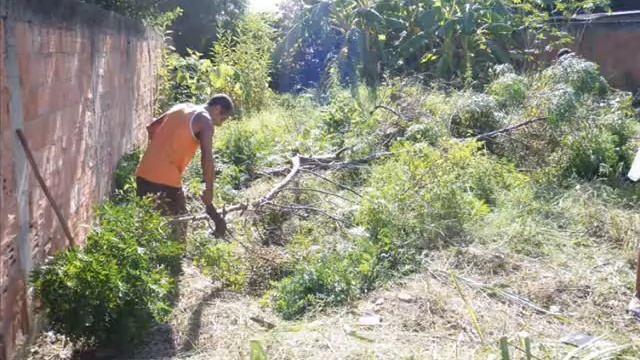 JARDIM PERNAMBUCO смотреть онлайн