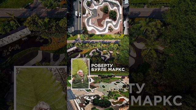 ЛАНДШАФТНЫЕ ДИЗАЙНЕРЫ, о которых должен знать каждый! смотреть онлайн