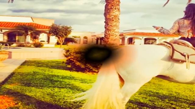 La historia de La Emperatriz del narco Claudia Ochoa смотреть онлайн