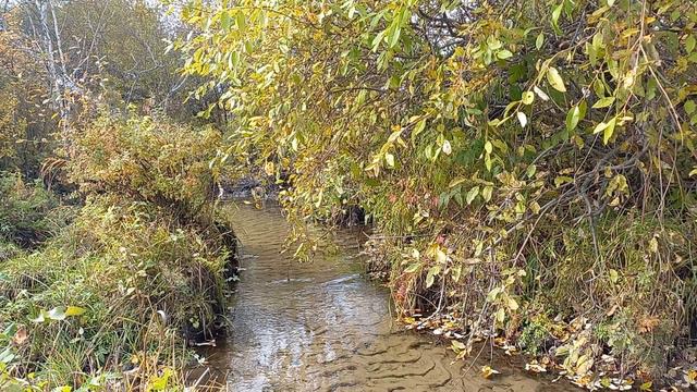 ВАЖНО СДЕЛАТЬ В ПЯТНИЦУ! смотреть онлайн