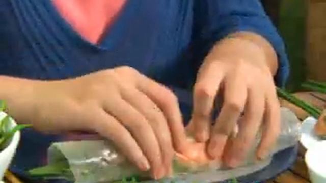 Brenda Song - Pass The Plate - Vegetables смотреть онлайн