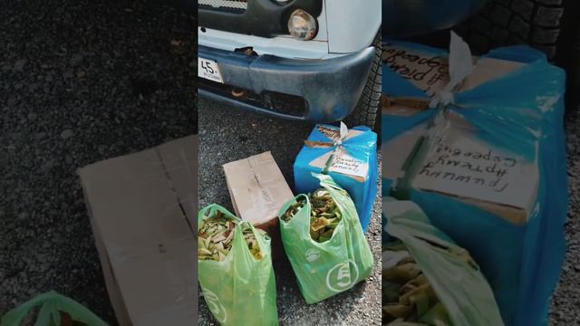 Как казаки гуманитарный груз везли,день первый:подготовка смотреть онлайн
