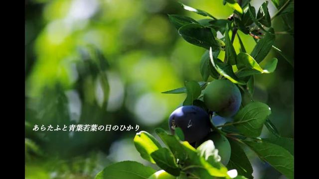 Liederzyklus „Bashōs Reisetagebuch“ | 箕作秋吉【芭蕉紀行集】 смотреть онлайн