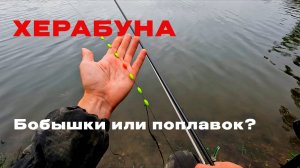 Бобышки или поплавок? Карась выбирает