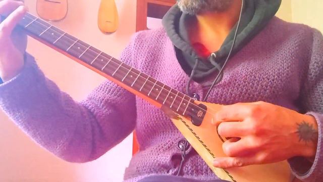 Bulgarian Tambura - Electro Acoustic Carved Body смотреть онлайн