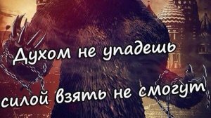 Лесник пошел в разнос