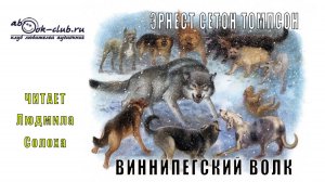 Эрнест Сетон Томпсон «Виннипегский волк» (рассказ)