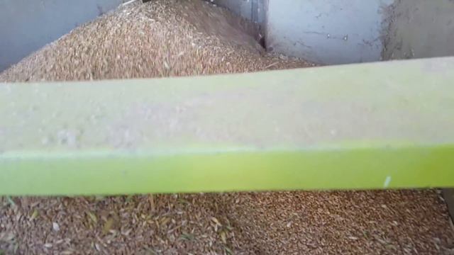 Moisson blé claas columbus смотреть онлайн