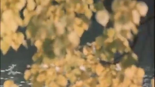 mesto vstrechi izmenit nelzja 3 смотреть онлайн