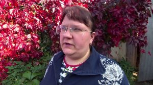 Какие сорта яблонь адаптированы для Урала?