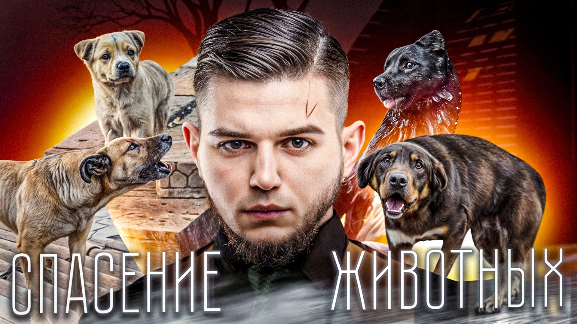 ТОП 5 МОИХ ЭПИЧНЫХ СПАСЕНИЙ ЖИВОТНЫХ смотреть онлайн