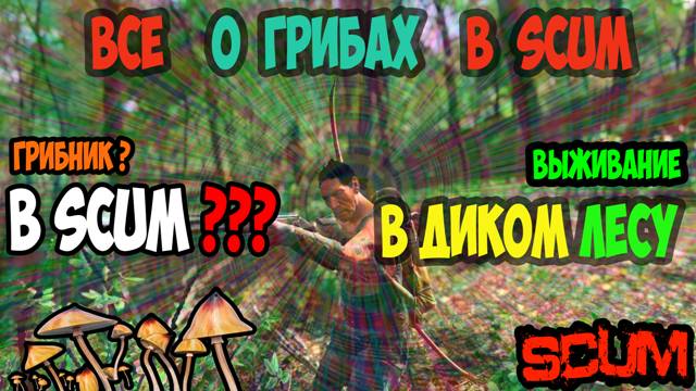 ГАЙД SCUM | ГРИБЫ | ЕДА ИЗ ПОДНОЖНОГО КОРМА В SCUM. ЖИЗНЬ ИЛИ СМЕРТЬ #scum #скам #выживание #грибы