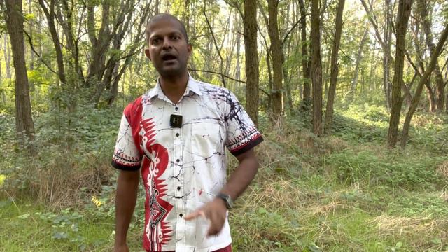 Better to live in country or city in Italy?/ Episode 22@italibuwa2506 смотреть онлайн