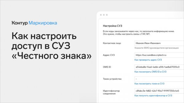 Как в Контур.Маркировке настроить доступ к заказам кодов в Честном знаке