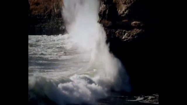 Tribute to HH the 17th Karmapa смотреть онлайн