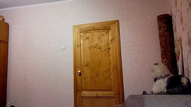 плечи смотреть онлайн