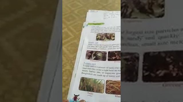 Campus 4; Elementary Science Class 3 Teacher's Name Najmun Nahar Khan Part 2 смотреть онлайн